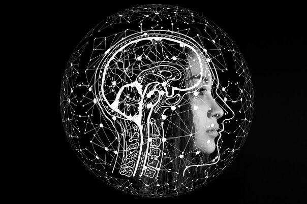 Inteligencia Artificial: Elements of AI ofrece cursos gratuitos 