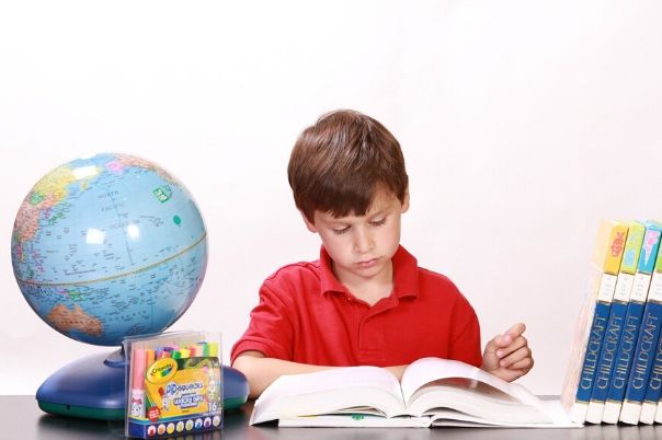 Aprendo en casa: la estrategia educativa para retomar el ao escolar