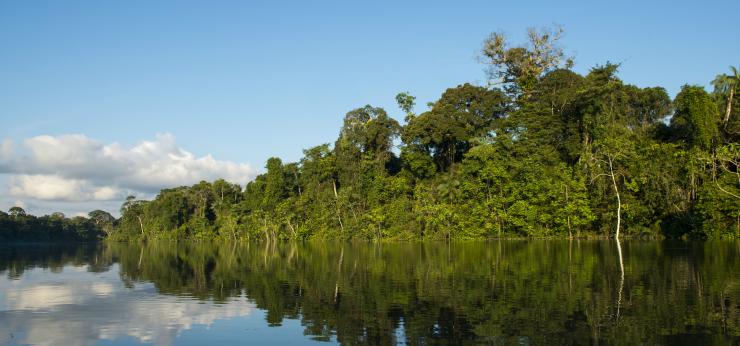 Visita el Parque Nacional Yaguas: Nueva rea natural protegida del Per